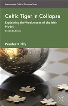P. Kirby, Peadar Kirby - Celtic Tiger in Collapse