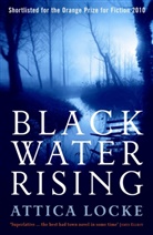 Attica Locke - Black Water Rising