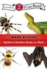 Mary (EDT) Hassinger, Zondervan, Zondervan, Zonderkidz - Spiders, Snakes, Bees, and Bats
