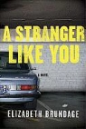 Elizabeth Brundage - A Stranger Like You