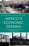 James M Cypher, James M. Cypher, James M. Delgado Wise Cypher, James/ Delgado Cypher, Cypher James M., Raul Delgado Wise... - Mexico''s Economic Dilemma