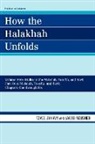Jacob Neusner, Jacob/ Zahavy Neusner, Tzvee Zahavy - How the Halakhah Unfolds