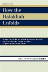 Jacob Neusner, Jacob/ Zahavy Neusner, Tzvee Zahavy - How the Halakhah Unfolds