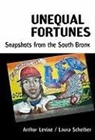 Arthur Levine, Arthur/ Scheiber Levine, Laura Scheiber - Unequal Fortunes