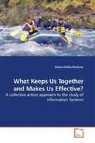 Eliseo Vilalta-Perdomo - What Keeps Us Together and Makes Us Effective?