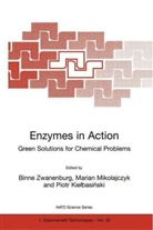 Piotr Kielbasinski, Marian Mikolajczyk, Binne Zwanenburg, Piotr Kielbasinski, Marian Mikolajczyk, Binne Zwanenburg - Enzymes in Action Green Solutions for Chemical Problems