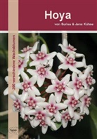 KÜHNE, Jens Kühne, Somade, Suris Somadee, Surisa Somadee - Hoya