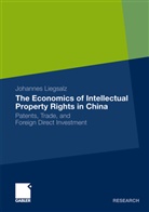 Johannes Liegsalz - The Economics of Intellectual Property Rights in China