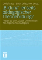 Drieschner, Drieschner, Elmar Drieschner, Detle Gaus, Detlef Gaus - Bildung jenseits pädagogischer Theoriebildung?