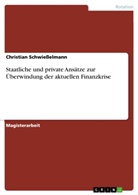 Christian Schwiesselmann - Staatliche und private Ansätze zur Überwindung der aktuellen Finanzkrise