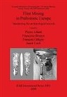 Pierre Allard, Francoise Bostyn, Francois Giligny, Pierre Allard, Francoise Bostyn, Françoise Bostyn... - Flint Mining in Prehistoric Europe