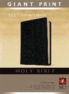 Not Available (NA), Tyndale House Publishers, Tyndale, Tyndale House Publishers - Holy Bible