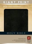 Not Available (NA), Tyndale, Tyndale, Tyndale House Publishers - Holy Bible