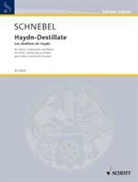 Dieter Schnebel - Haydn-Destillate