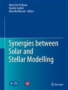 Daniel Cardini, Daniela Cardini, Maria Pia Di Mauro, Marcella Marconi - Synergies between Solar and Stellar Modelling