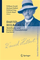 David Hilbert, William Ewald, Michae Hallett, Michael Hallett, Ulrich Majer, Ulrich Majer et al... - David Hilbert's Lectures on the Foundations of Mathematics and Physics - 6: David Hilbert's Notebooks and General Foundational Lectures