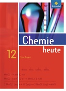Chemie heute SII, Ausgabe 2008 für Sachsen: 12. Schuljahr, Schülerband