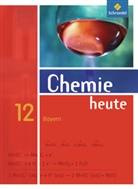 Wolfgang Asselborn, Manfred Jäckel, Karl T. Risch - Chemie heute SII, Ausgabe 2009 für Bayern: Chemie heute SII - Ausgabe 2009 für Bayern