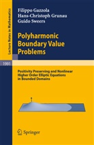 Filipp Gazzola, Filippo Gazzola, Hans-Christop Grunau, Hans-Christoph Grunau, Gu Sweers, Guido Sweers - Polyharmonic Boundary Value Problems