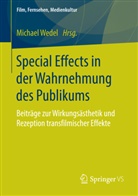 Michae Wedel, Michael Wedel - Special Effects in der Wahrnehmung des Publikums