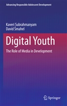 David Smahel, Kaver Subrahmanyam, Kaveri Subrahmanyam - Digital Youth