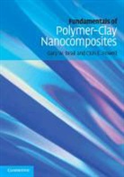 G. W. Beall, Gary W. Beall, Gary W. (Texas State University Beall, Gary W. Powell Beall, BEALL GARY W POWELL CLOIS E, Beall Gary W.... - Fundamentals of Polymer-Clay Nanocomposites