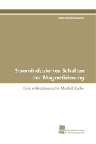 Niko Sandschneider - Strominduziertes Schalten der Magnetisierung