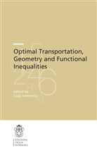 Luigi Ambrosio, Luig Ambrosio, Luigi Ambrosio - Optimal Transportation, Geometry and Functional Inequalities