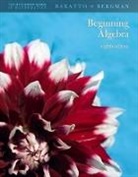 Stefan Baratto, Baratto Stefan, Barry Bergman, Barry Bergman, Bergman Barry, Donald Hutchison... - Beginning Algebra