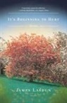 James Lasdun - It's Beginning to Hurt