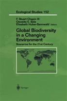 F. Stuart Chapin, F.Stuart Chapin, Osvald E Sala, Osvaldo E Sala, Elisabeth Huber-Sannwald, Osvaldo E. Sala - Global Biodiversity in a Changing Environment