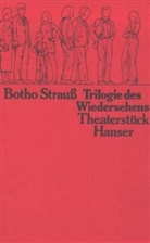 Botho Strauß - Trilogie des Wiedersehens