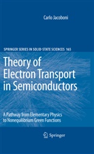 Carlo Jacoboni - Theory of Electron Transport in Semiconductors