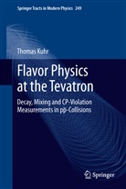 Thomas Kuhr - Flavor Physics at the Tevatron