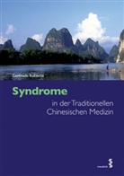 Gertrude Kubiena - Syndrome in der Traditionellen Chinesischen Medizin