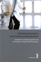 Helmut Seitz - Arbeitsmotivation und Arbeitszufriedenheit