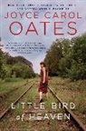 Joyce Carol Oates - Little Bird of Heaven