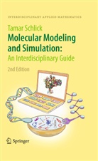 Tamar Schlick - Molecular Modeling and Simulation