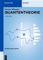 Gernot Münster - Quantentheorie