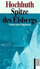 Rolf Hochhuth, Dietric Simon, Dietrich Simon - Spitze des Eisbergs