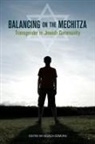 Noach Dzmura, Noach Dzmura - Balancing on the Mechitza