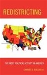 Charles Bullock, Charles S. Bullock, Charles S. III Bullock - Redistricting