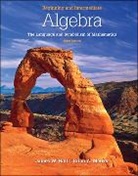 James Hall, James W. Hall, Brian Mercer, Brian A. Mercer - Beginning and Intermediate Algebra