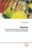 Monira Ghoniem - Alumina