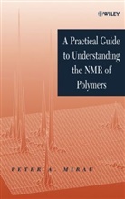 Mirau, P. Mirau, Pa Mirau, Peter A Mirau, Peter A. Mirau, Peter A. (Nonmetallic Materials Division (P Mirau... - Practical Guide to Understanding the Nmr of Polymers