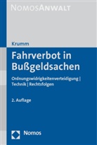 Carsten Krumm - Fahrverbot in Bußgeldsachen
