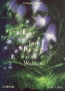 Wolfgang Sewald - Im Herzen des Waldes