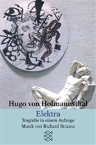 Hugo von Hofmannsthal - Elektra