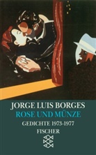 Jorge L Borges, Jorge L. Borges, Jorge Luis Borges - Werke in 20 Bänden - Bd. 14: Rose und Münze
