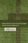 Palmer, Ellie Palmer, Colin Harvey - Judicial Review, Socio-Economic Rights and the Human Rights Act